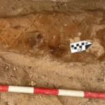 Hallan en Egipto momia con un fragmento de la Ilíada