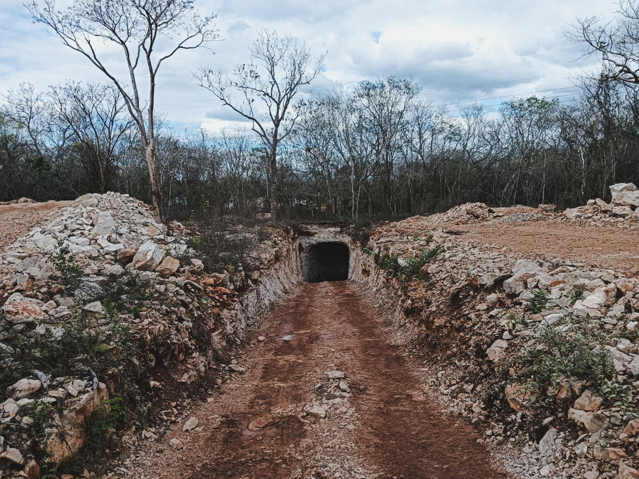 La Profepa clausura predios en Campeche y Yucatán tras detectar deforestación, obras ilegales y daño a la selva y cenotes.