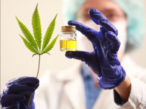 Fármacos GLP 1 cambian el consumo de cannabis y obligan a dispensarios a reinventarse