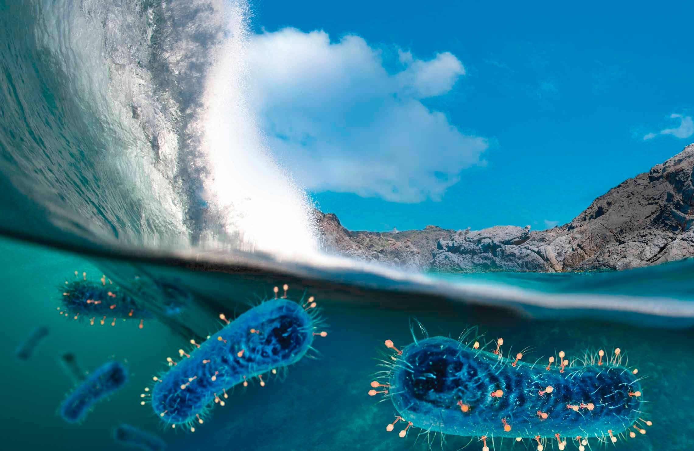 Alertan por virus marino que causa ceguera