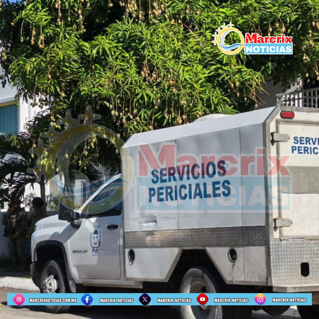 Cateo en Cancún