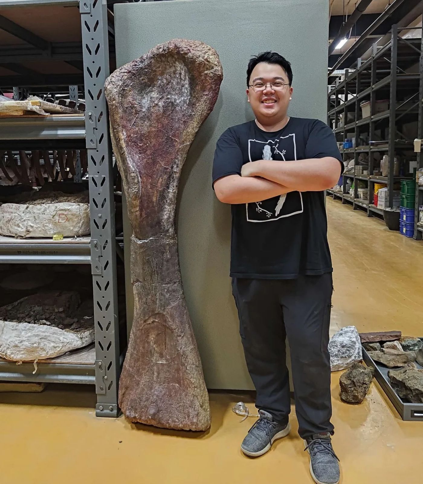 Científicos identifican nueva especie de dinosaurio gigante en Tailandia