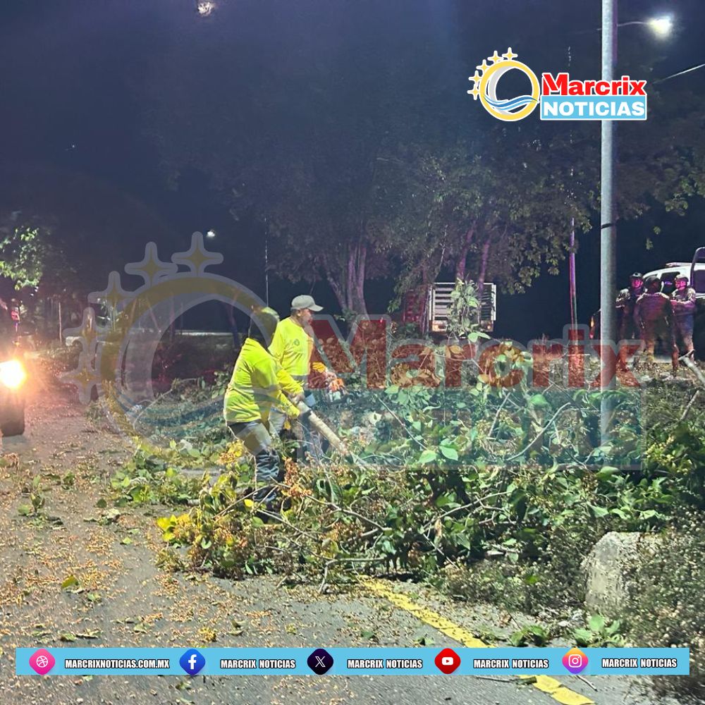 Cinco elementos de la Secretaría de Marina resultaron ilesos tras un accidente vial en la zona continental de Isla Mujeres.