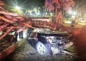 Joven pierde la vida tras impactar su vehículo contra una palmera en Ciudad Caucel