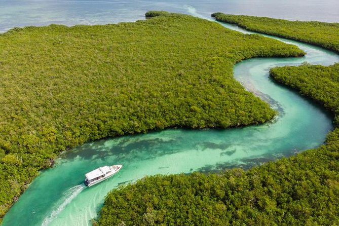 La restauración de manglares en la Laguna Nichupté de Cancún avanza con rehabilitación ecológica y monitoreo ambiental.