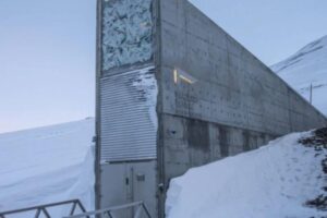 Premio internacional destaca labor de la Bóveda de Svalbard