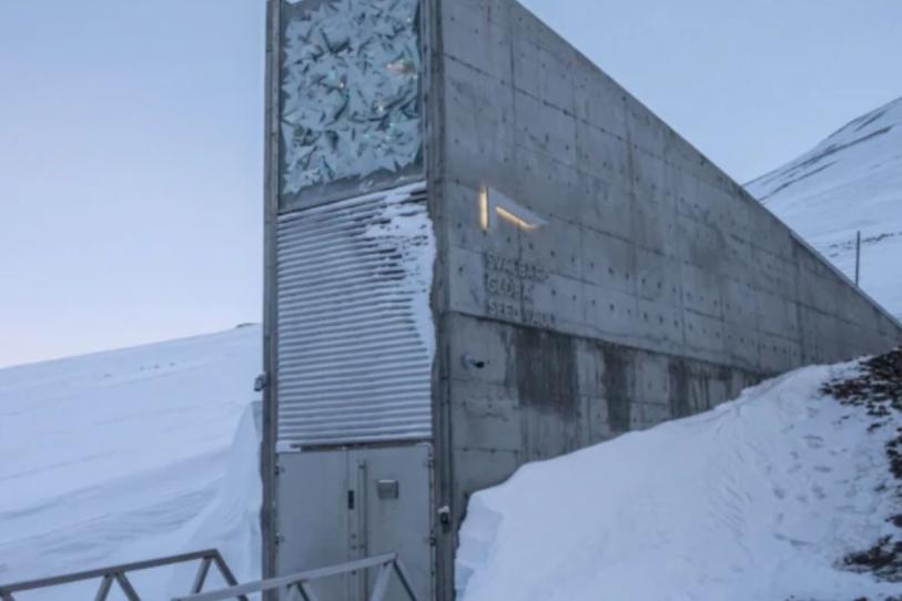 Premio internacional destaca labor de la Bóveda de Svalbard