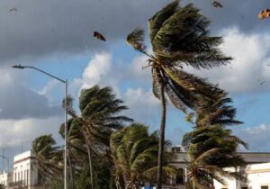 Reportan rachas de viento este viernes en Quintana Roo