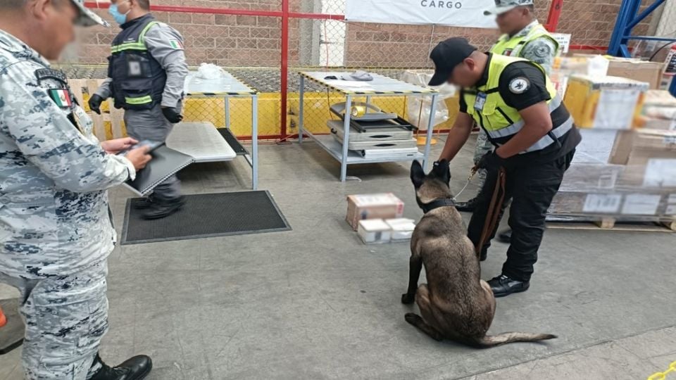 Decomisan 4.5 kilos de drogas en el AIFA, estaban escondidos en veladoras