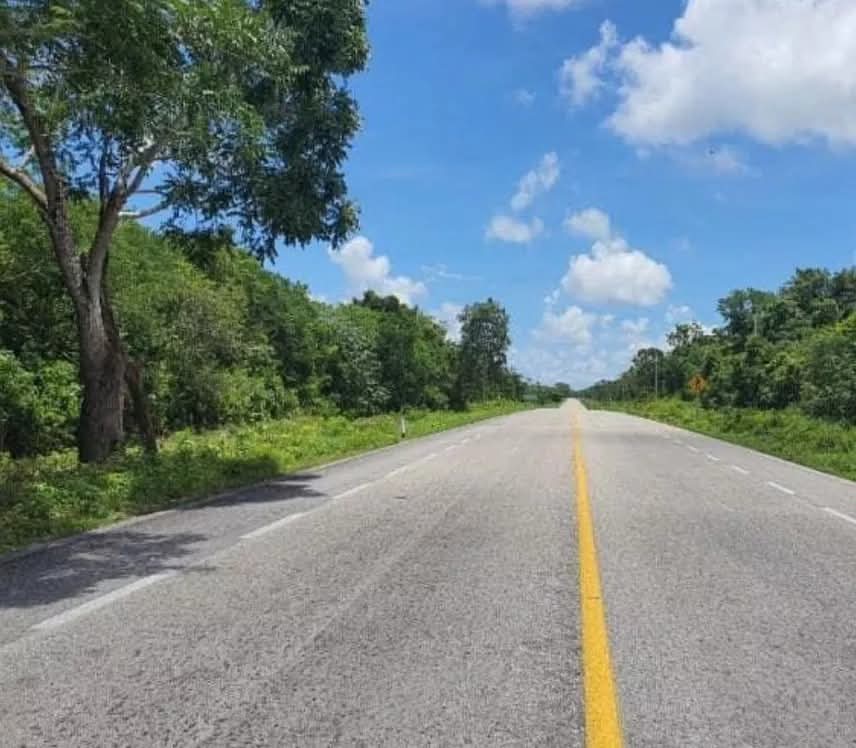 Localizan un cuerpo sin vida en la vía Chetumal-Escárcega