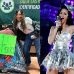 A más de 90 días del concierto de Katy Perry, fans ya acampan afuera de la Fenapo 2026
