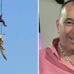 Hallaron restos de un hotelero sudafricano dentro de un cocodrilo gigante