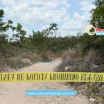 Macabro hallazgo en Cancún; encuentran cuerpo desmembrado en camino de terracería
