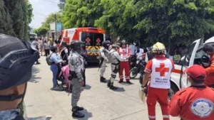 Ataque de abejas en telesecundaria de Cuautla deja 40 personas lesionadas