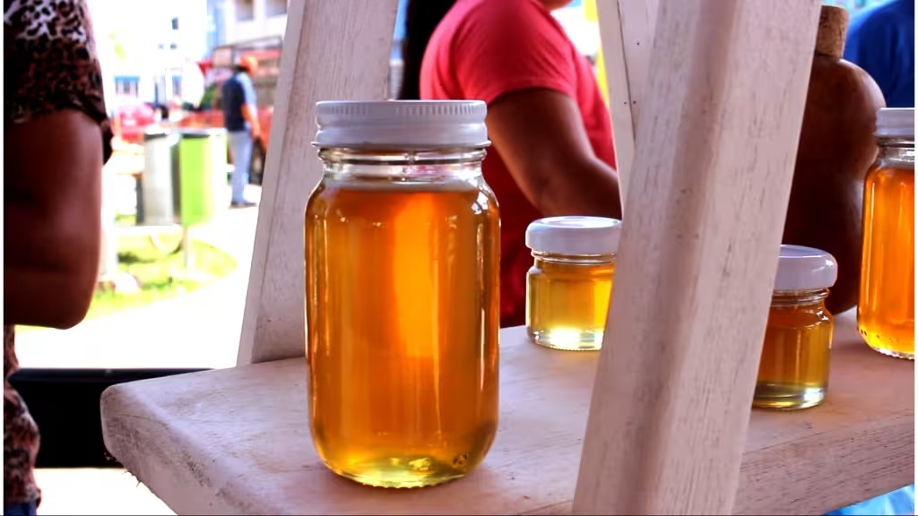 Apicultores de Cancún denuncian productos con jarabe de fructuosa que se hacen pasar por miel natural.