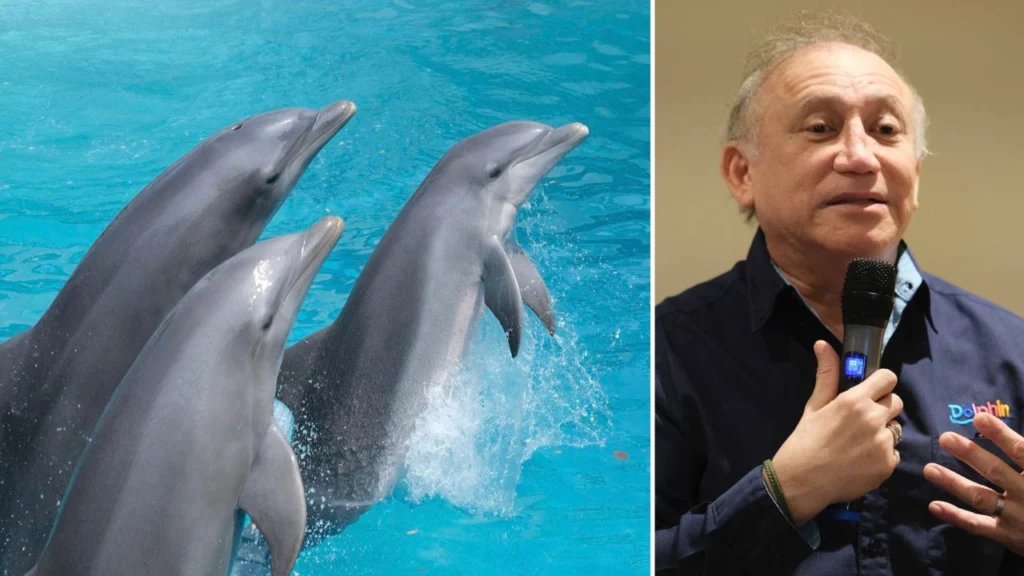 Una jueza de la CDMX avaló el desistimiento del concurso mercantil de Controladora Dolphin, dejando en suspenso el futuro de cientos de trabajadores.