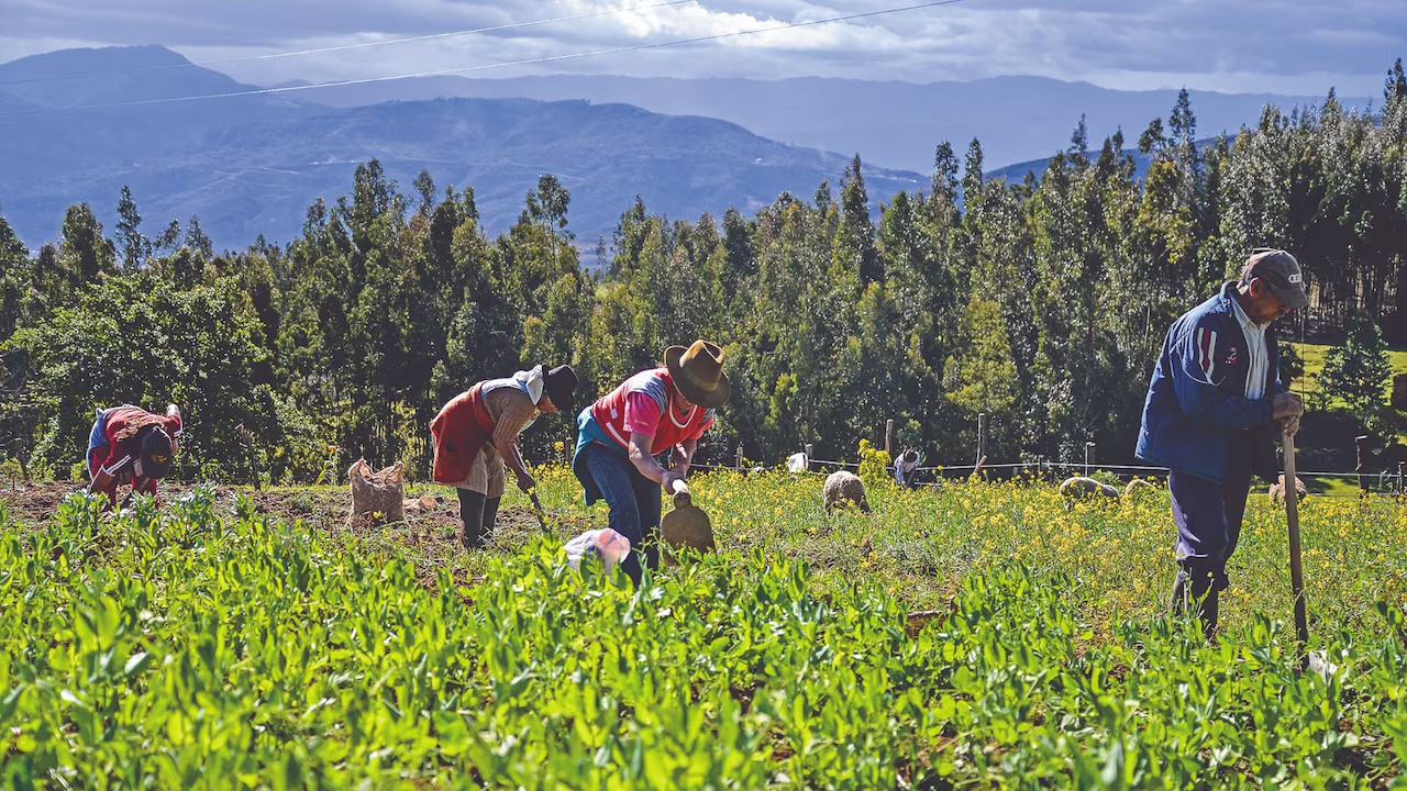 Gobierno perdona adeudos a más de 41 mil productores rurales