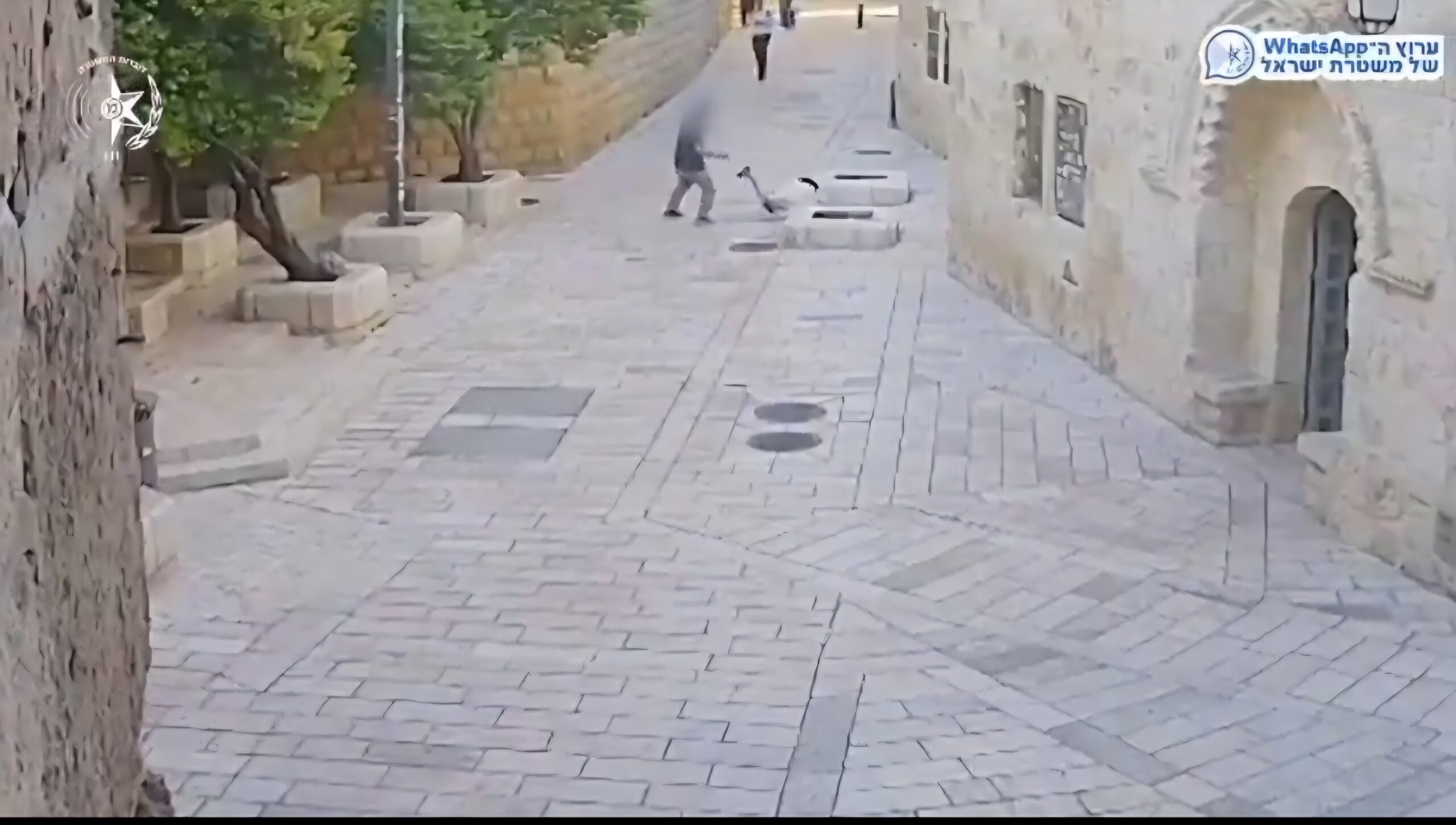 Agresor monja francesa israel