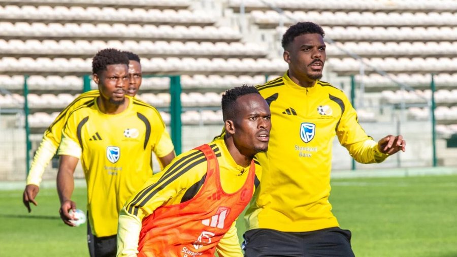Seleccion Sudafrica