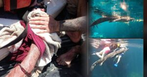 Turista resulta lesionado por ejemplar de fauna silvestre en Casa Cenote de Tulum