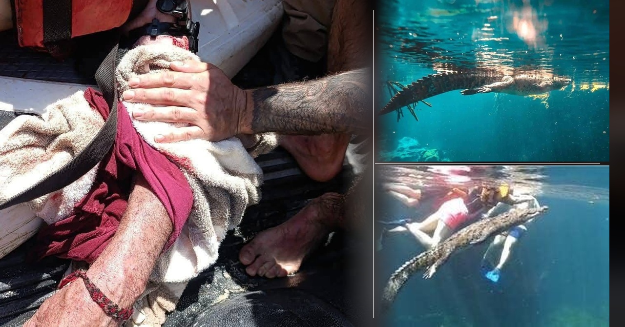 Turista resulta lesionado por ejemplar de fauna silvestre en Casa Cenote de Tulum