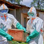 OMS pide alto al fuego en el Congo para atender el brote de ébola