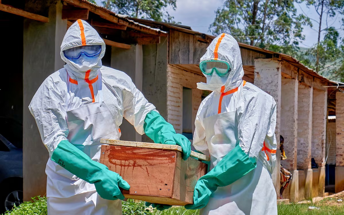 OMS pide alto al fuego en el Congo para atender el brote de ébola
