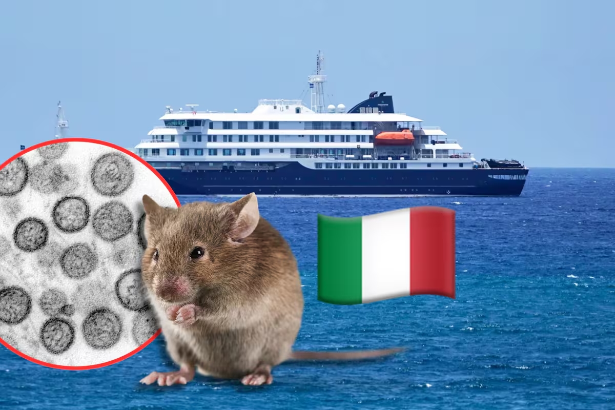 Ciudadano italiano muestra síntomas de hantavirus a bordo de vuelo KLM