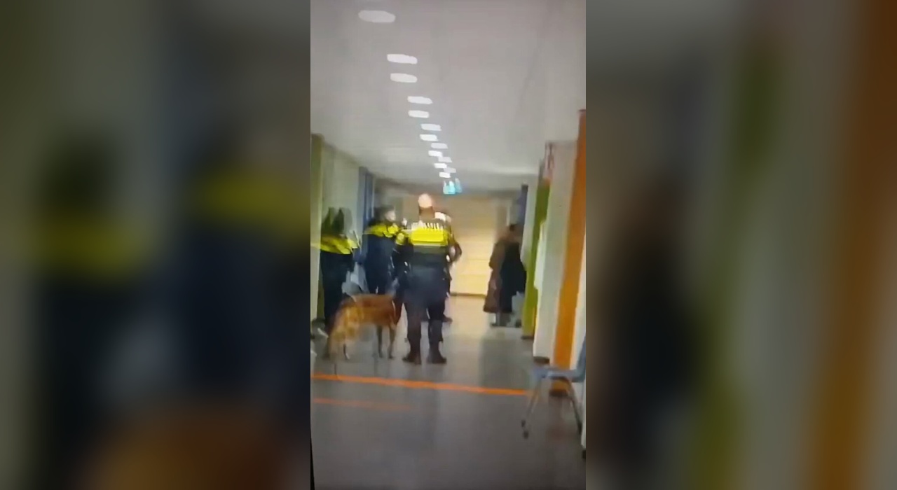 Un video viral muestra a un agente neerlandés tirando al suelo a una mujer embarazada en Zeist, Países Bajos.