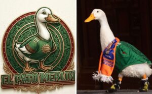 Yucateco intenta registrar ante el IMPI la marca del ‘Pato Merlín’ antes que sus dueños