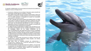 Profepa clausura Dolphinaris Cancún por condiciones inadecuadas para los delfines