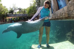 Delphinus cumple 10 años con certificación internacional de bienestar animal