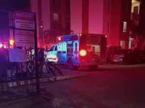 Muere un perrito durante incendio en departamento de Playa del Carmen