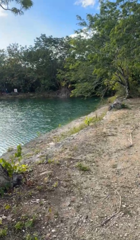 Rescatan con vida a una mujer en la laguna ABC de Cancún