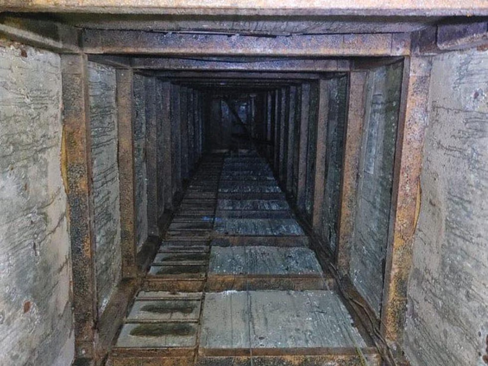 Descubren narcotúnel entre Tijuana y California; embajador de Estados Unidos destaca operativo