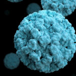 El norovirus raramente mata, pero sus síntomas pueden ser devastadores