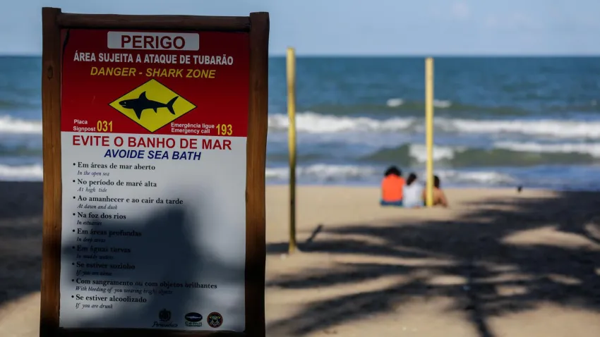 Boa Viagem, en Recife, registra dos ataques de tiburones en 48 horas y vuelve a encender alarmas.