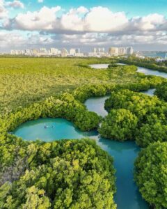 Proponen organizaciones civiles crear observatorio para vigilar Laguna Nichupté en Cancún
