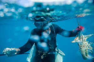 Van 13 buzos afectados por descompresión en la temporada de langosta en Isla Mujeres