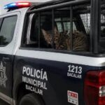 Denuncian desaparición de la gatita Wicha tras revisión policial en Bacalar