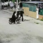 Captan asalto en Villas del Mar 2; autoridades buscan a dos motociclistas en Cancún