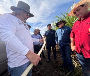 Destinan 6 millones de pesos para apoyar al sector cañero de Quintana Roo