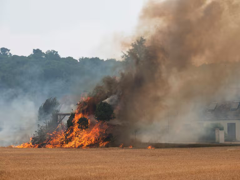 Incendio forestal arrasa 1.900 hectáreas en Francia