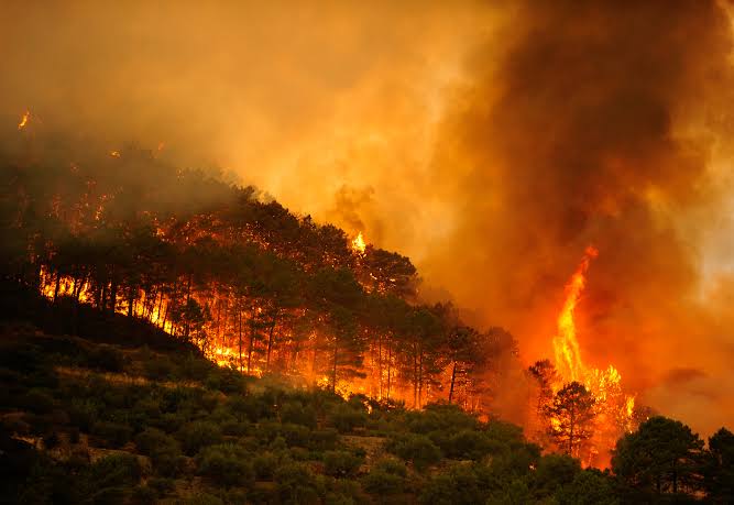 Incendio en España deja 12 muertos y 23 desaparecidos en Andalucía