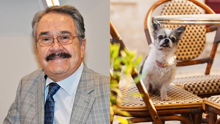 Pedro Sola ofrece disculpa tras desatar polémica por comentarios sobre las mascotas