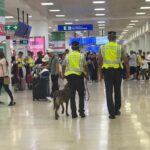 Detienen a pasajero con más de 12 kilos de presunta droga en el Aeropuerto de Cancún 