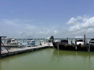Sector náutico de Quintana Roo inicia las vacaciones de verano sin el repunte esperado 