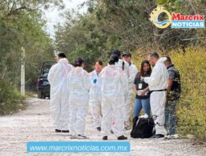 Hallan restos óseos en un camino de terracería de la Supermanzana 260 de Cancún