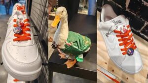 Del Mundial a la moda, Panam lanza tenis inspirados en el Pato Merlín