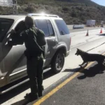 Tráfico de fentanilo persiste pese al operativo en Sinaloa
